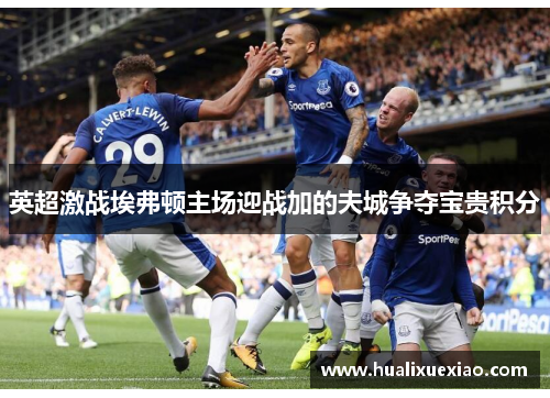 英超激战埃弗顿主场迎战加的夫城争夺宝贵积分